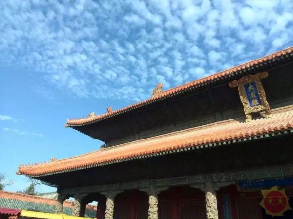 山东技能学习指南,从入门到进阶的任务与步骤解析