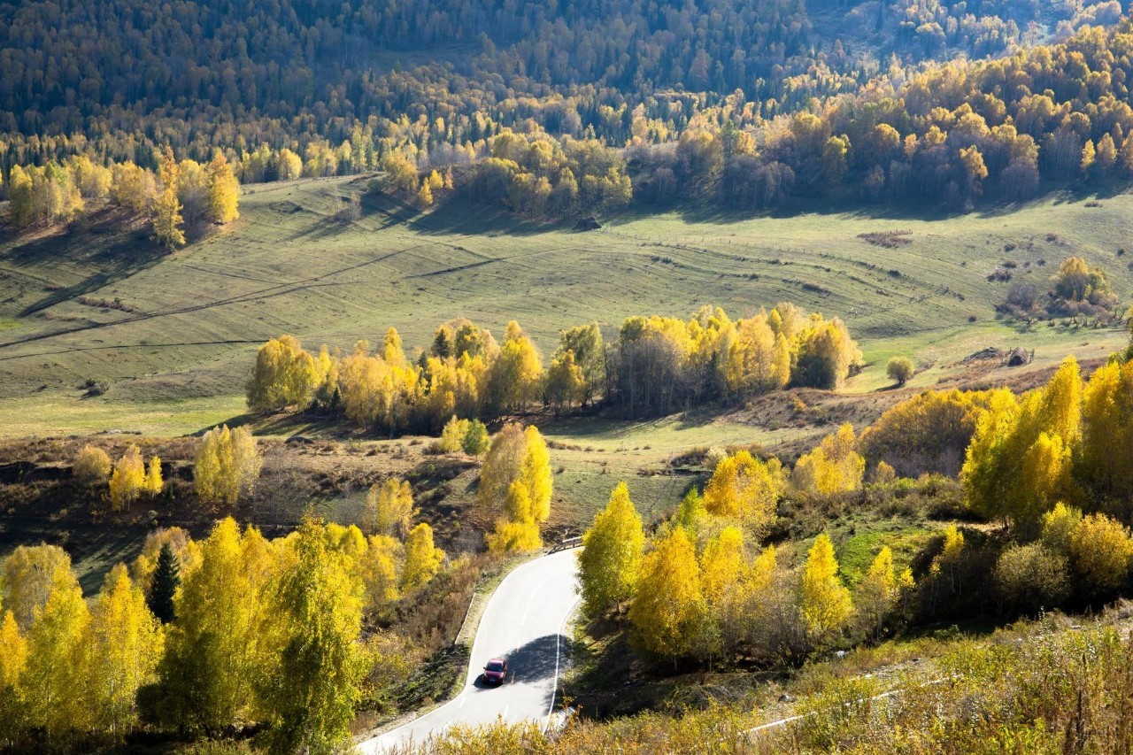 新疆科技之光，引领智能生活新篇章