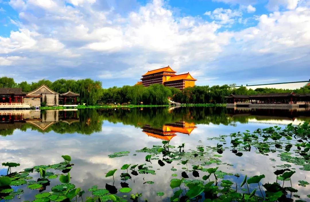 廊坊，日常温馨与友谊绽放的爱的陪伴