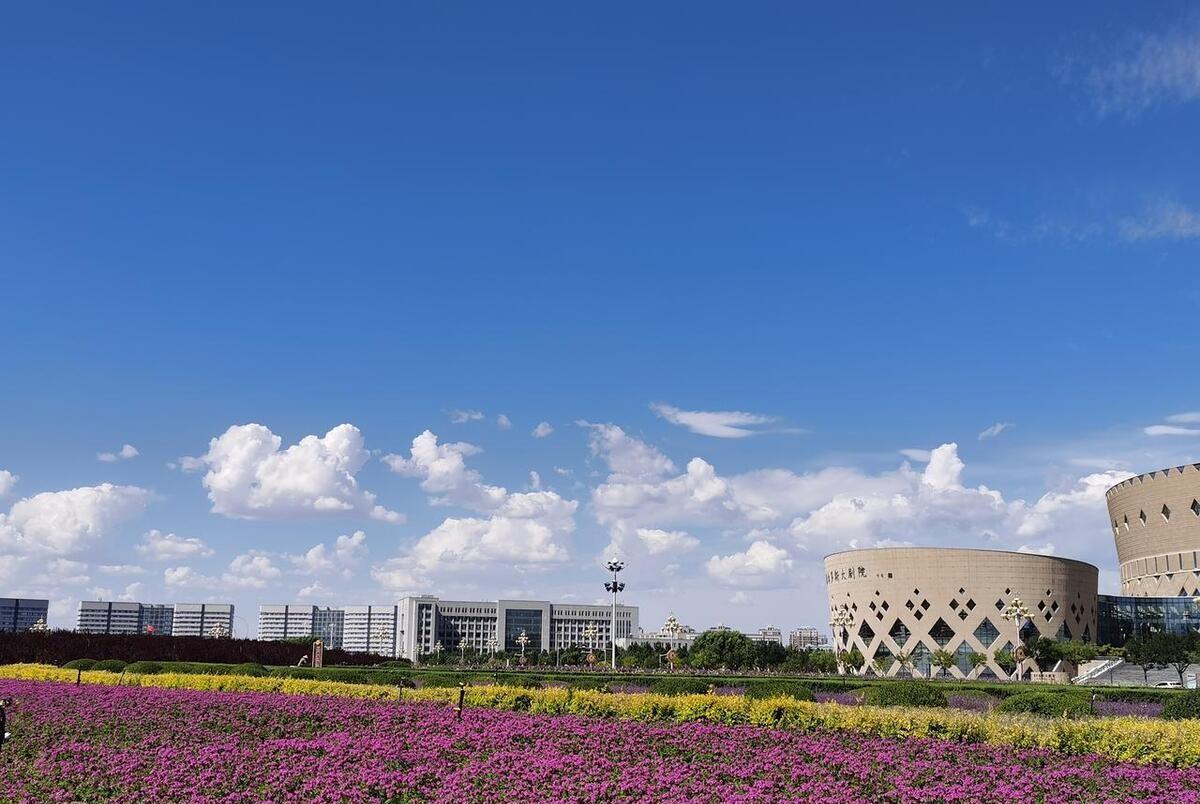 鄂尔多斯繁荣背后的多维探析与观点探析