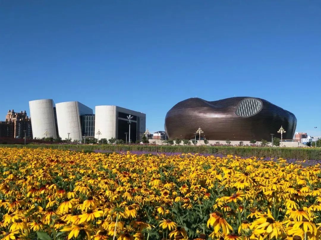 鄂尔多斯繁荣背后的多维探析与观点探析