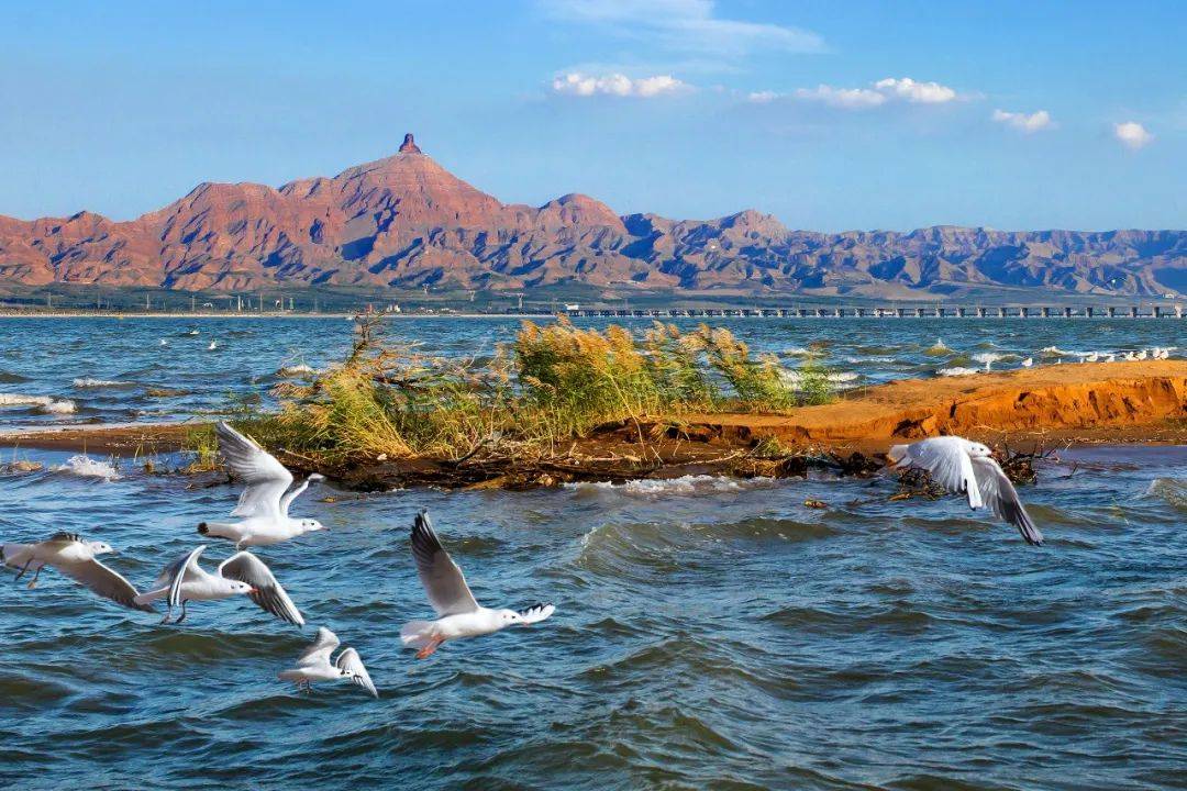 乌海，资源型城市转型与发展的探索之路